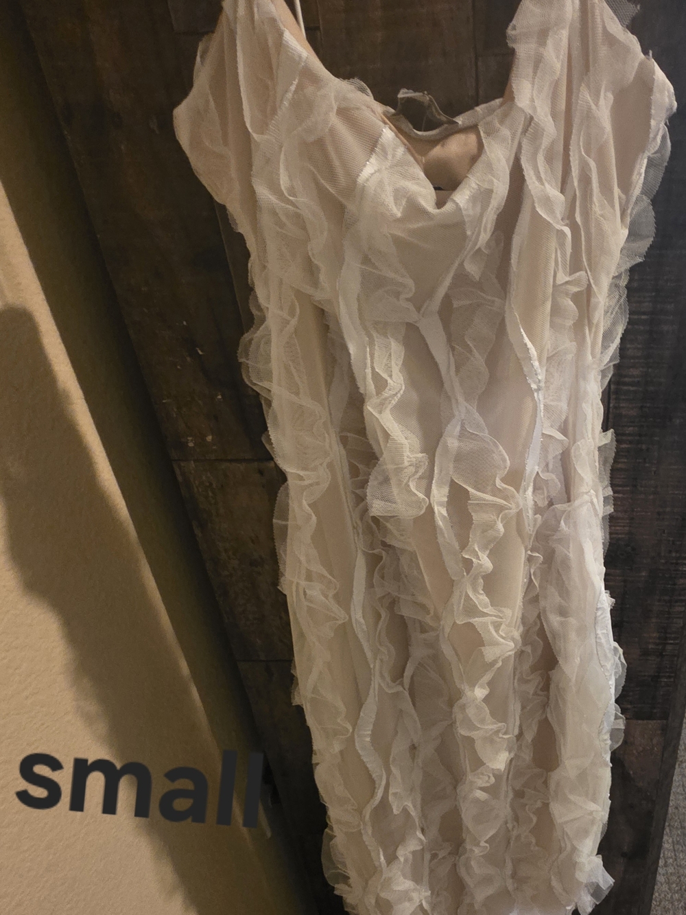 Ruffled Sheer Overlay Dress in Ivory